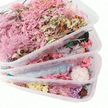 1 Box Of Random Colorful Natural Dried Flowers With Epoxy Resin Handmade Crafts DIY Bouquet Garland Candles Make A Home Wedding Box Flower Decoration