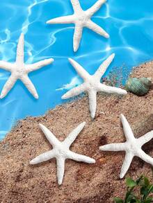 10个装多功能树脂海星装饰品，完美适用于婚礼、节日、家居工艺品、家居装饰摆件及配件，是生日、夏威夷派对、海滩派对、泳池装饰、水族箱装饰、婚礼装饰、家居装饰和手工艺项目、情人节手工艺品的理想之选。