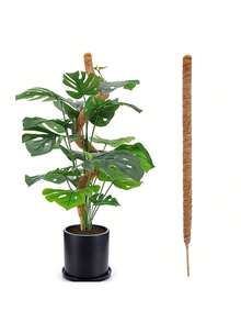 1 件装 苔藓杆 龟背竹植物支架 苔藓杆 龟背竹苔藓杆 适用于攀爬植物 柔性植物杆支架 植物桩 适用于室内植物 - 棕色 - 查看 5