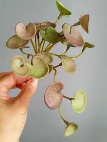 16cm Small Artificial Copper Coin Grass Fake Succulent Landscape Tropical Hydroponics Plants Plastic Begonia Leaves Green Centerpieces For Home Office Balcony Desktop Decoration Without Pot 1pc - Green - View 10