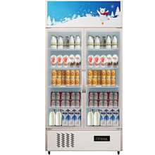 Commercial Refrigerator,Display Fridge Upright Beverage Cooler, Glass Door With LED Light For Home, Store, Gym Or Office, (23 Cu.Ft. Double Swing Door) - Two-door 23 Cu Ft - View 1