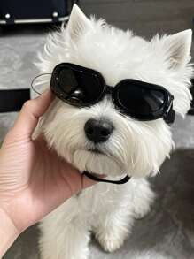 A Cool And Stylish Dog Sunglasses For Photo Shooting And Party, Adjustable Windproof Goggles For Small Dogs, Pet Eyewear Accessories In All Sizes