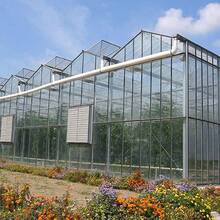 Froadp 14x Polycarbonate Hollow Wall Sheets, UV Resistant Double Wall Sheets For Greenhouse, Garden Greenhouse, 4mm | 10.25m² - 透明色 - 查看 3