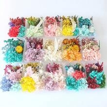 1 Box Of Random Colorful Natural Dried Flowers With Epoxy Resin Handmade Crafts DIY Bouquet Garland Candles Make A Home Wedding Box Flower Decoration