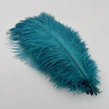 5/10/20 buc. 25-30 cm/9,8-11,8 inch Artificiale pene de struț Articole pentru petrecere Pene DIY Ziua Îndrăgostiților Accesorii pentru ambalaj cadouri Cusut Îmbrăcăminte Accesorii Pene Nuntă Decorație Casă Comodă Ornament Fond Foto Recuzită - Multicolor - Vizualizare 42