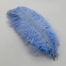 5/10/20 buc. 25-30 cm/9,8-11,8 inch Artificiale pene de struț Articole pentru petrecere Pene DIY Ziua Îndrăgostiților Accesorii pentru ambalaj cadouri Cusut Îmbrăcăminte Accesorii Pene Nuntă Decorație Casă Comodă Ornament Fond Foto Recuzită - Multicolor - Vizualizare 52