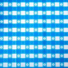 1pc Blue Plaid Disposable Plastic Tablecloth, Waterproof & Oil-Proof, Protects Table Surface, 54*108in Square, Suitable For Various Occasions