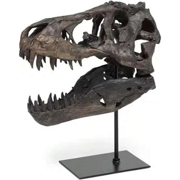 Sculptures de crâne de dinosaure, statue de tête de Tyrannosaure Rex en résine, décoration de salon, décoration de bureau moderne, décoration d'étagère murale, marron