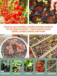 1pc Seedling Block,Organic Plants Coir Brick,Coconut Coir Bricks Premium 100% Organic Peat Moss Mix,Vegetable Soil Bed,Planting Media,Fiber Coconut Husk For Planting, Gardening, Potting Soil Substrate,Seeds,Garden,Flowers,Vegetables,Worm Bedding Composting,Coconut Fibre