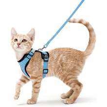 Cat Harness And Leash For Walking, Escape Proof Soft Adjustable Vest Harnesses For Cats, EasyControl - Baby Blue - View 9
