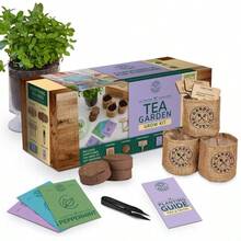 Garden Republic Tea Grow Kit - 1 - View 1