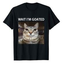 Wait, My Stupid Cat Mystery T-Shirt
