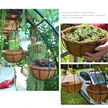 This Hanging Metal Wall Planter Comes With A Coconut Liner, Making It Rustic Yet Durable. It's Suitable For Both Indoor And Outdoor Use. Place It On The Balcony To Enjoy Sunlight And Greenery, Or Decorate The Patio To Create A Natural Garden Atmosphere. The Vintage Design Makes It A Focal Point For Home Decor.