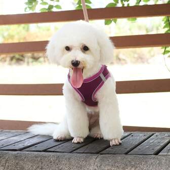 Harnais de poitrine pour animal de compagnie adapté aux petits et grands chiens de compagnie