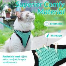 Cat Harness And Leash For Walking, Escape Proof Soft Adjustable Vest Harnesses For Cats, EasyControl - Baby Blue - View 2
