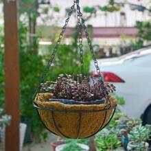 This Hanging Metal Wall Planter Comes With A Coconut Liner, Making It Rustic Yet Durable. It's Suitable For Both Indoor And Outdoor Use. Place It On The Balcony To Enjoy Sunlight And Greenery, Or Decorate The Patio To Create A Natural Garden Atmosphere. The Vintage Design Makes It A Focal Point For Home Decor.