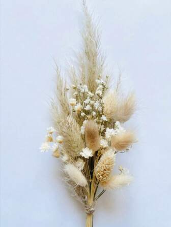 波西米亚风迷你干花花束套装 | 小瓶插花 | 餐桌装饰 | 信箱礼物，秋季装饰，秋季