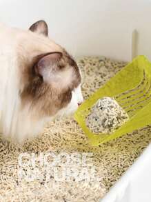 6L geruchsabsorbierendes Katzenstreu aus Tofu, schnell aufquellend, gute Wasseraufnahme, Katzen Haustierzubehör, Leckerchen, Bentonit Katzenstreu