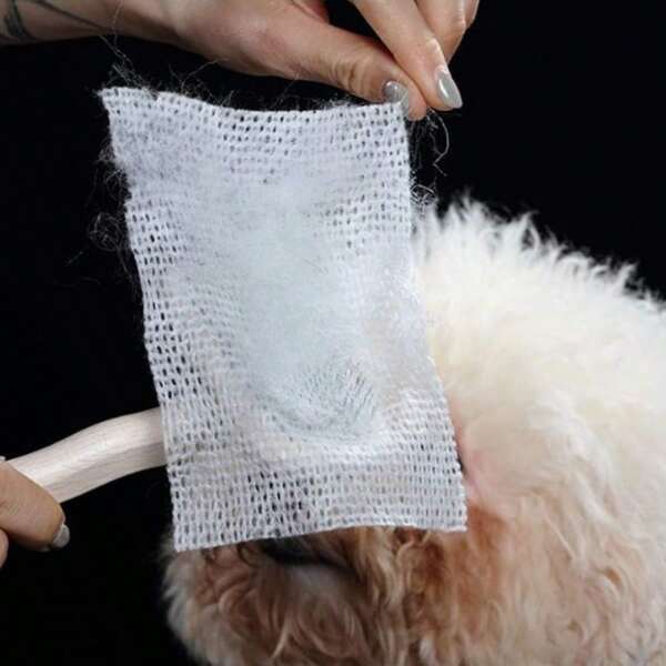 50pcs Portable Pet Hair Removal Cleaning Paper, Cotton Cleaning Paper For Anti-Fall Comb, Suitable For Air Cushion Comb Cleaning Paper, Comb Protective Net, Pet Hair Cleaning Paper
