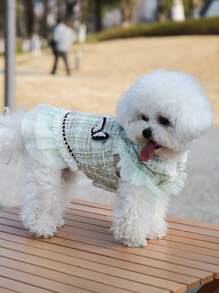 Princess Dress & Jacket For Pets, Suitable For Poodle, Maltese, Yorkshire Terrier In Spring And Autumn