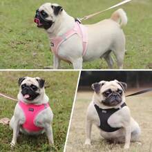 Arnês para cães respiráveis e refletivos com conjunto de coleira, cinta peitoral para cães, colete para cães sem puxar com corda para caminhar