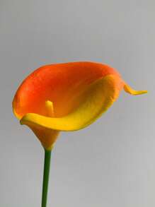 8 stuks witte kunstmatige calla lelies, zijden nepbloemen (32 cm) voor Moederdag, Pasen, huis, keuken, bruiloftsdecoraties, nieuwjaar, lente, kamerdecoratie, tuindecoratie, buitenplanten, tuinieren, nepbloemen