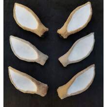 1 Paar Simulation Hirschohren Handwerks-Stirnband Accessoires, handgemachtes Kopfstück mit Plüsch Rehohren, selbstgemachter Haarkranz Bastelbedarf