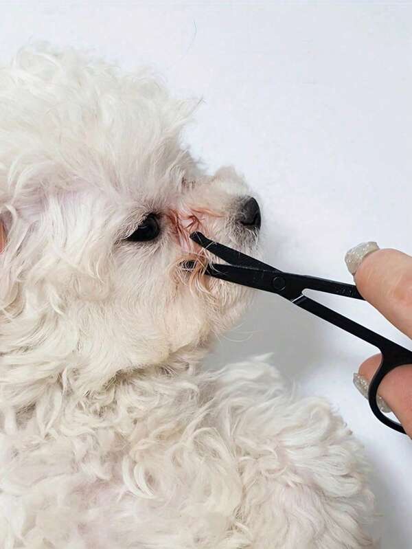1/2 unidades Cepillo para limpieza fácil de ojos de mascotas, peine para limpieza facial + tijeras para limpieza facial, para eliminar marcas de lágrimas, costras y mucosidad, peinar el pelo, adecuado para gatos y perros pequeños