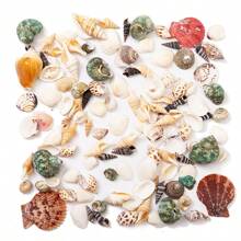 1pc 60g Assorted Natural Seashell, Scallop, Starfish Decorative Ornaments - Suitable For Indoor Home Decor, Aquarium Decoration, Materials For Making Shell Photo Albums, Seashell Crafts, And Fragrance Accessories