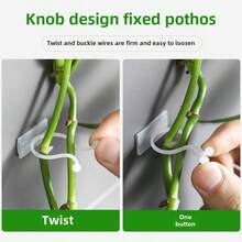 10/20/30/40件/套绿植固定器壁挂绿植爬墙工具强力无痕异形藤蔓爬墙钩