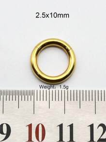 1 pieza de gran calibre Clicker de septum de 10 mm a 2 mm 12G, redondo, liso, de acero inoxidable 316L, pendientes únicos con bisagra, aro de segmento de septum perforado grande, joyería corporal punk para expansión de orejas