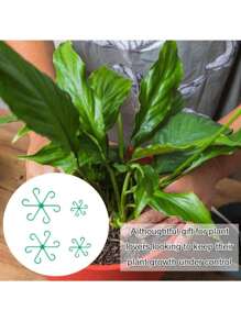 8pcs (4 Large & 4 Small) Plant Support Cages, Plastic Trellis Climbing Hooks, Reusable Indoor/Outdoor Plant Climbing Frame, Flower Holder Grid Growth Accessories, Home & Living | Outdoor & Garden | Plant Stands | Protectors | Plant Cages & Stands (Random Color & Style)