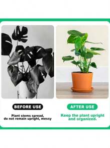 8pcs (4 Large & 4 Small) Plant Support Cages, Plastic Trellis Climbing Hooks, Reusable Indoor/Outdoor Plant Climbing Frame, Flower Holder Grid Growth Accessories, Home & Living | Outdoor & Garden | Plant Stands | Protectors | Plant Cages & Stands (Random Color & Style)