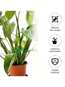 8pcs (4 Large & 4 Small) Plant Support Cages, Plastic Trellis Climbing Hooks, Reusable Indoor/Outdoor Plant Climbing Frame, Flower Holder Grid Growth Accessories, Home & Living | Outdoor & Garden | Plant Stands | Protectors | Plant Cages & Stands (Random Color & Style)