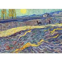 1 件无框艺术墙贴海报著名印象派画家文森特梵高艺术海报帆布油画向日葵麦田墙贴房间家居装饰无框 - 彩色 - 查看 56