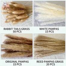 Ramo de hierba de pampa natural, flores secas para jarrón boho, hierba de cola de conejo, flor artificial, arreglo para fiesta de boda - Caqui - Ver 6