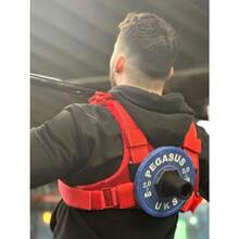 Infinity Weighted Vest Up To 80KGs - Red - View 3