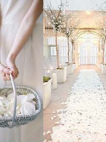 5000片冷凍玫瑰花瓣，浪漫婚禮求婚裝飾，花童餐桌中心裝飾，嬰兒洗禮派對，玫瑰，派對與節日裝飾，秋季，萬聖節裝飾，聖誕節裝飾，伴娘禮物，房間裝飾 - 白色 - 查看 5