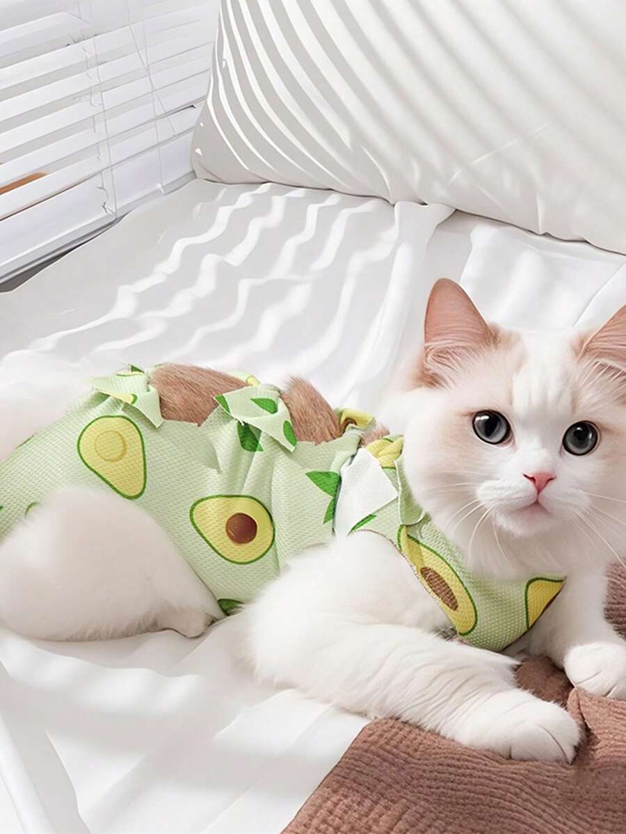 猫咪绝育术后恢复服，小型及中型犬猫手术服，季节性宠物服装 - 藍色 - 查看 1