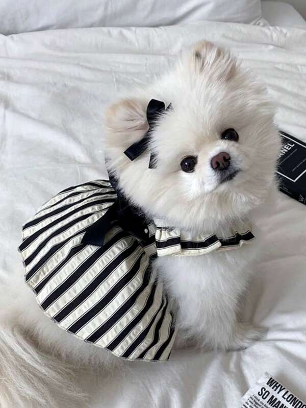 1 pieza Corbata de moño a rayas para mascotas, decorativa y linda