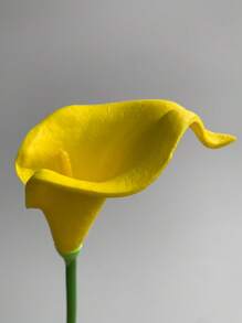 8 stuks witte kunstmatige calla lelies, zijden nepbloemen (32 cm) voor Moederdag, Pasen, huis, keuken, bruiloftsdecoraties, nieuwjaar, lente, kamerdecoratie, tuindecoratie, buitenplanten, tuinieren, nepbloemen