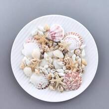 1pc 60g Assorted Natural Seashell, Scallop, Starfish Decorative Ornaments - Suitable For Indoor Home Decor, Aquarium Decoration, Materials For Making Shell Photo Albums, Seashell Crafts, And Fragrance Accessories