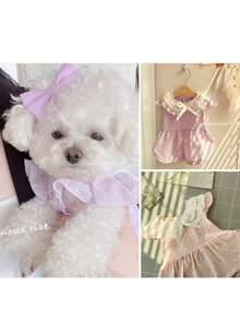 春夏宠物公主裙，适合比熊犬、贵宾犬、博美犬等小型犬的可爱狗狗和猫咪服装