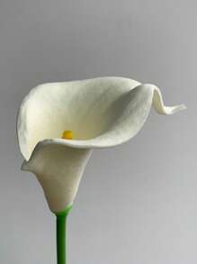 8 stuks witte kunstmatige calla lelies, zijden nepbloemen (32 cm) voor Moederdag, Pasen, huis, keuken, bruiloftsdecoraties, nieuwjaar, lente, kamerdecoratie, tuindecoratie, buitenplanten, tuinieren, nepbloemen