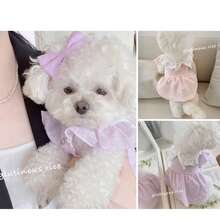 春夏宠物公主裙，适合比熊犬、贵宾犬、博美犬等小型犬的可爱狗狗和猫咪服装