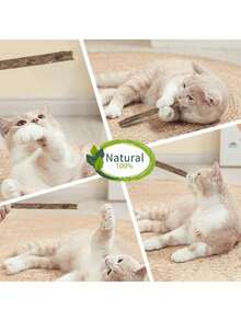 عصا تنظيف أسنان للقطط - نكهة القطط، النعناع، السمك، لعبة مضغ لرعاية الأسنان