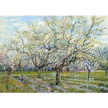 1 件无框艺术墙贴海报著名印象派画家文森特梵高艺术海报帆布油画向日葵麦田墙贴房间家居装饰无框 - 彩色 - 查看 23