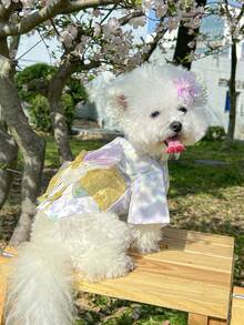 1pc Pet Dress, Stylish & Casual Lovely Comfortable Cherry Blossom Pattern Japanese Style Outfit For Small Dogs And Cats - Purple - View 3