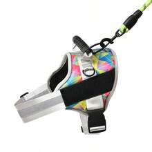 Customized Pet Collars, Leashes & Harnesses