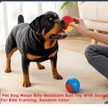 1pc Random Color,2.55in Squeaky Dog Chew Toys Rubber Ball For Aggressive Chewers Teeth Cleaning - Bite-Resistant Dental Ball With Noise Maker For Puppy Teething Training ,Dog Accessories